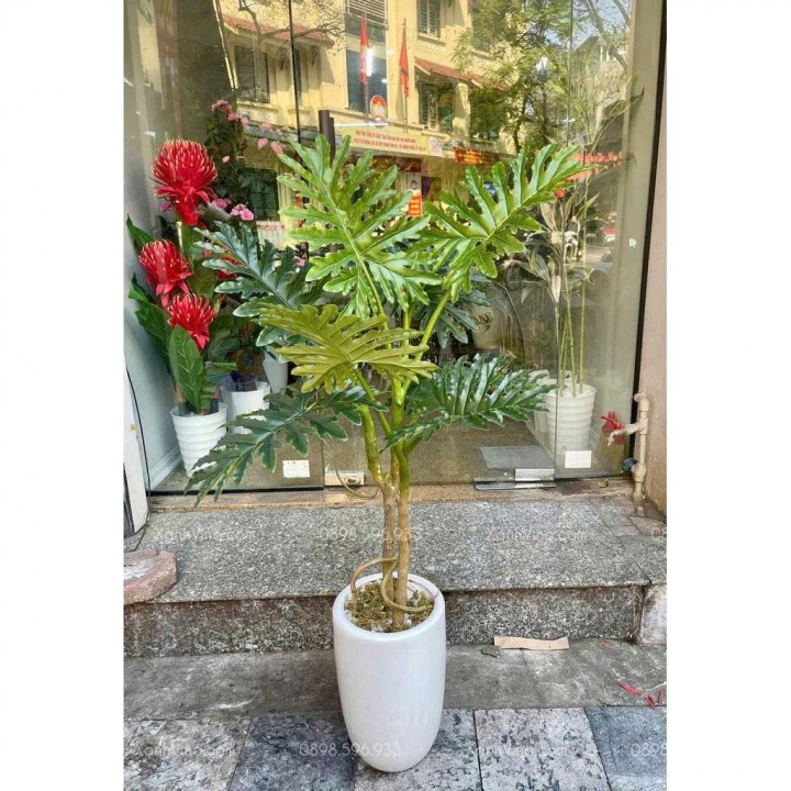 Cây Trầu Bà Giả Thân Cổ Đẹp Giống Thật 